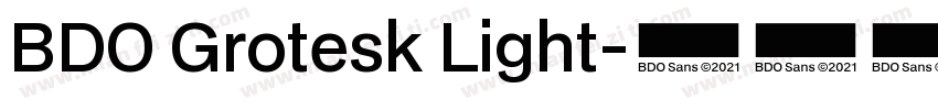 BDO Grotesk Light字体转换
